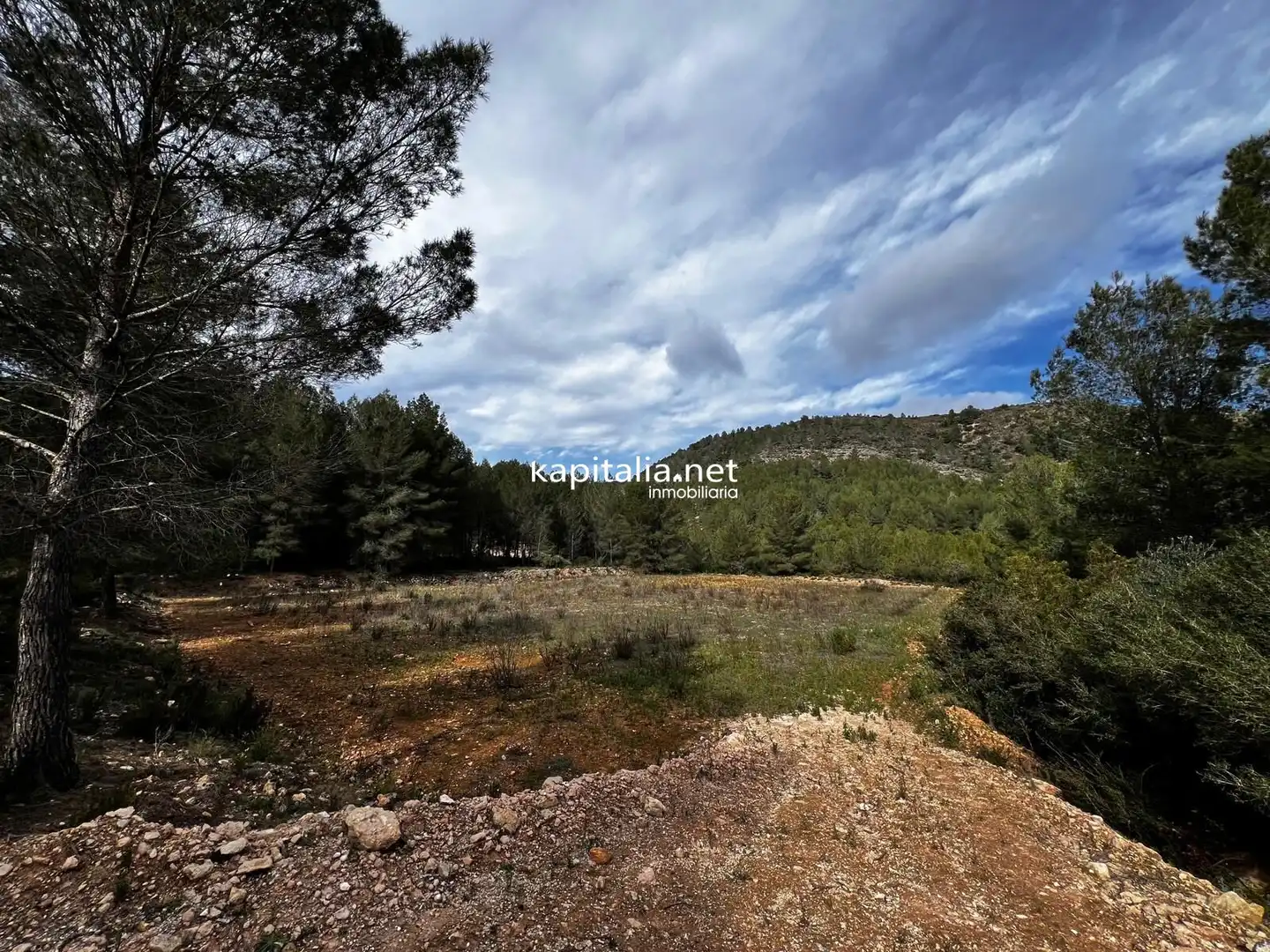 Terreny rústic en venda a L'Olleria