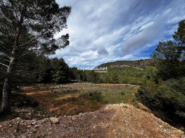 Terreno rustico in vendita a L'Olleria