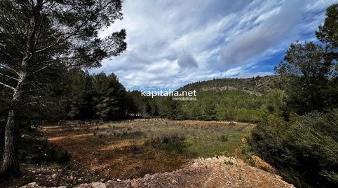 Terreno a la venta en Olleria