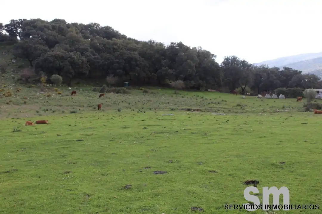 Terreni e lotti in vendita a Cortes de la Frontera, imagen 12