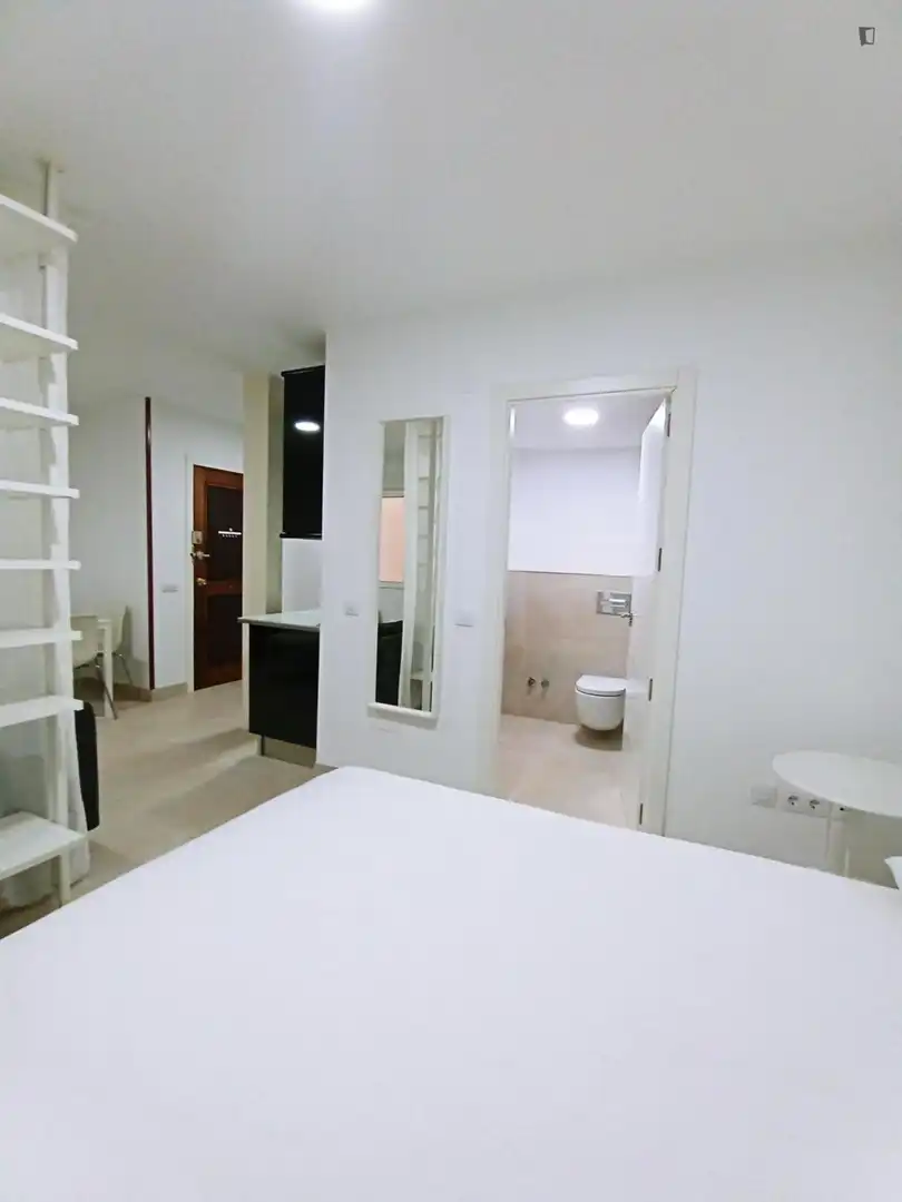 Monolocale in affitto a Centro, imagen 7