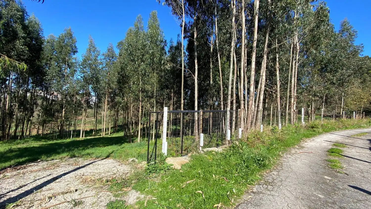 Terreni e lotti in vendita a Rúa Camiño dos Muiños 18, imagen 2