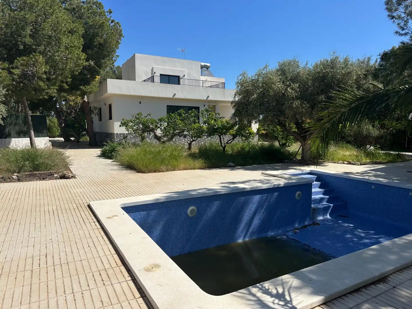 Swimming pool of Houses for sale in San Vicente del Raspeig / Sant Vicent del Raspeig