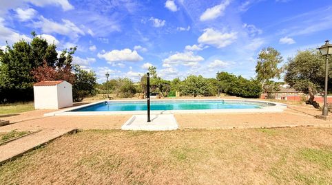 Foto 5 de Casa o chalet en venta en Carmona, Sevilla