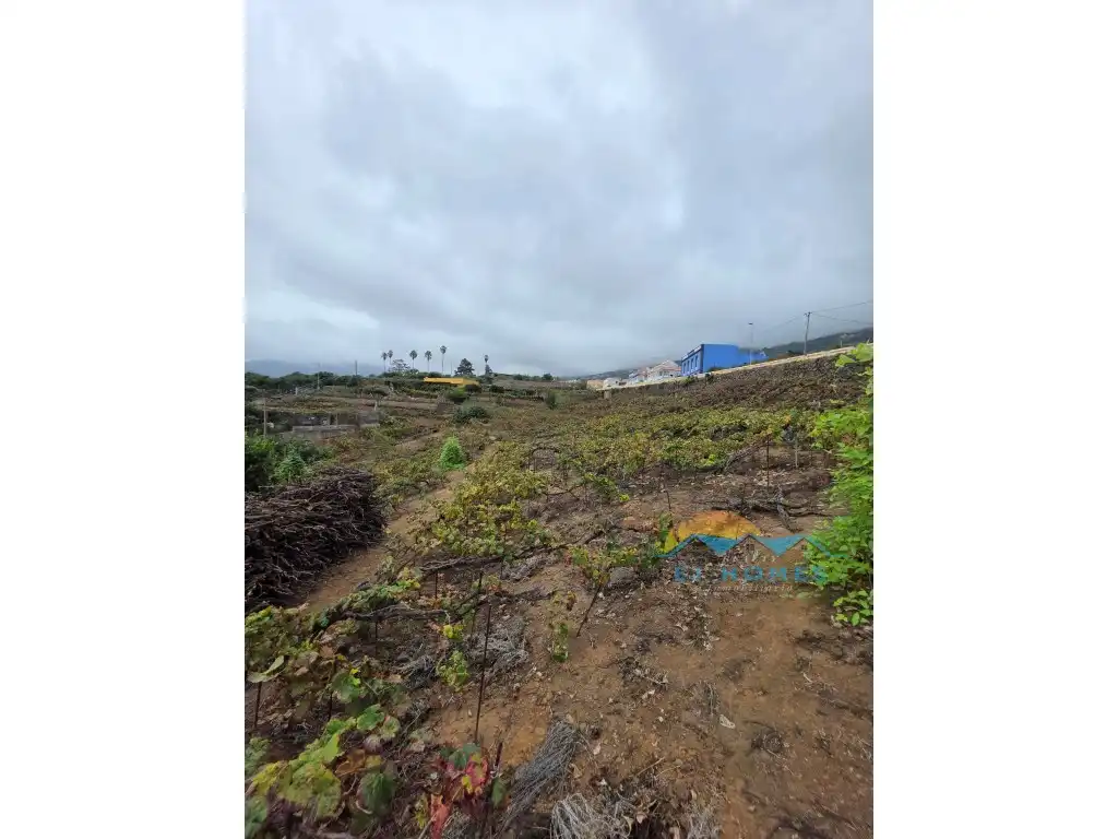 Houses for sale in La Orotava