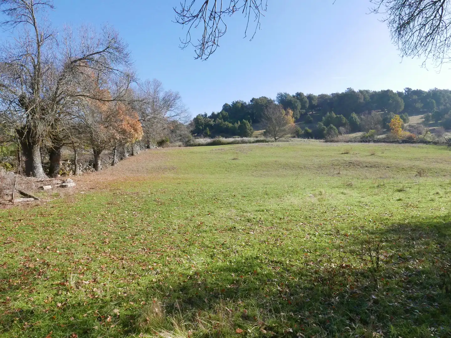 Land for sale in Santo Tomé del Puerto