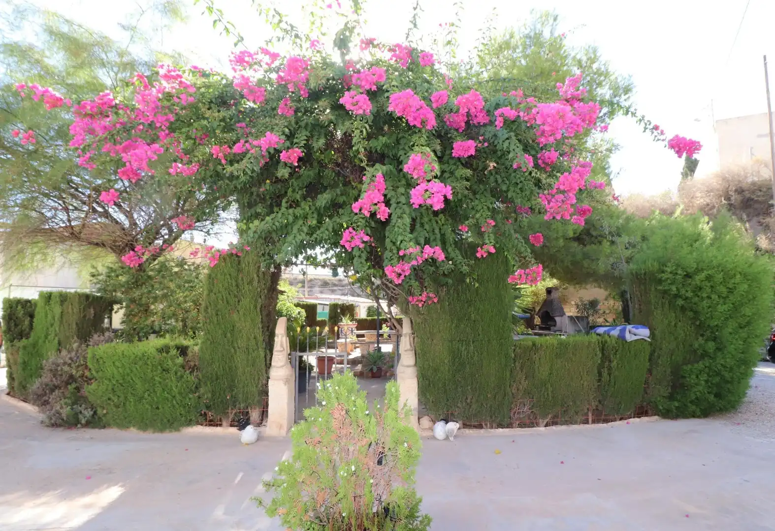 Casa o chalet en venta en Campo Alto - Club de Campo