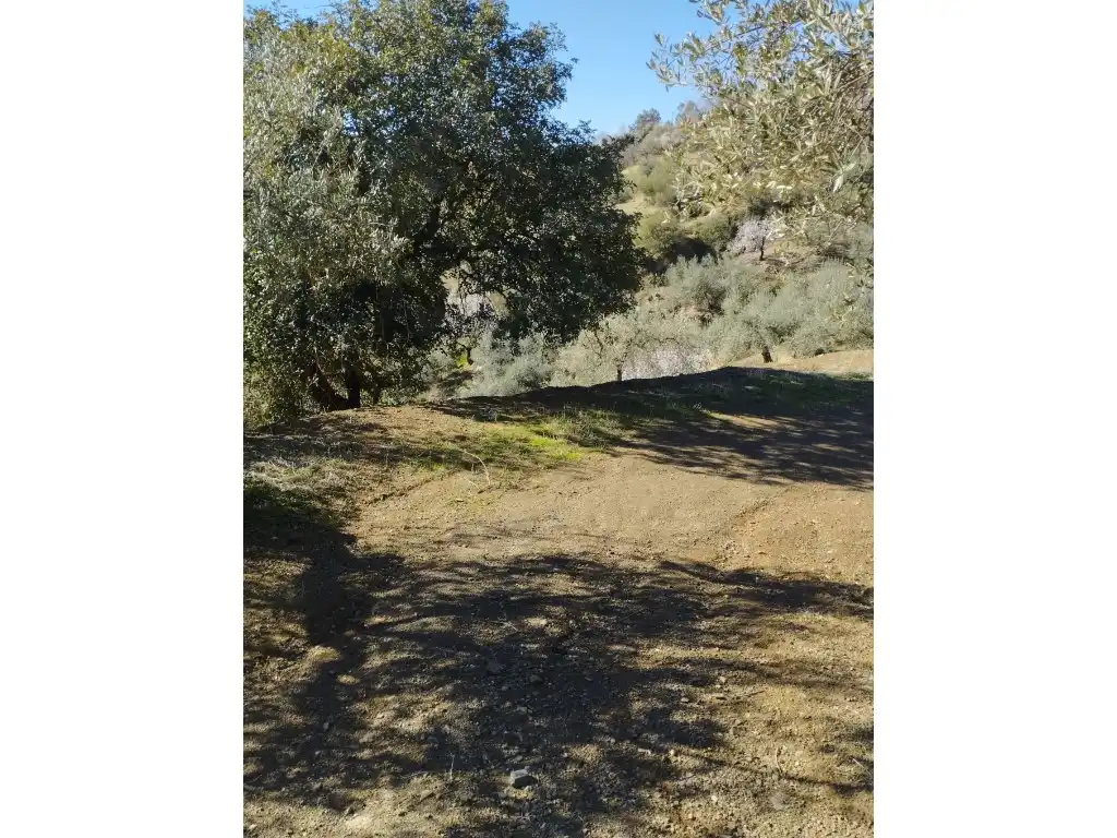 Casa o chalet en venta en Riogordo