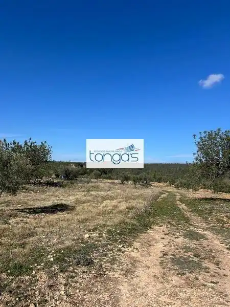 Grundstücke und Bauplätze zum Verkauf in Polígono parcela 593 9, imagen 7