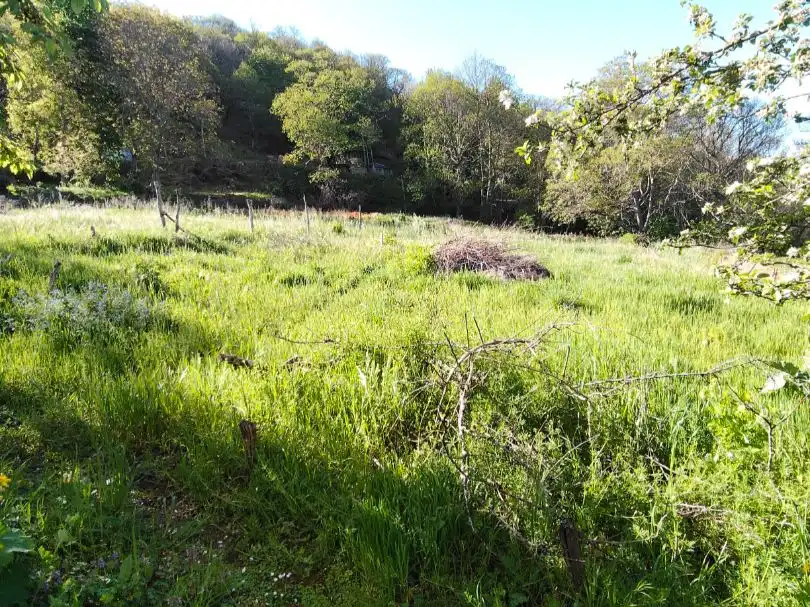 Habitatge amb jardí en venda a Calle Nueva 99A, imagen 5