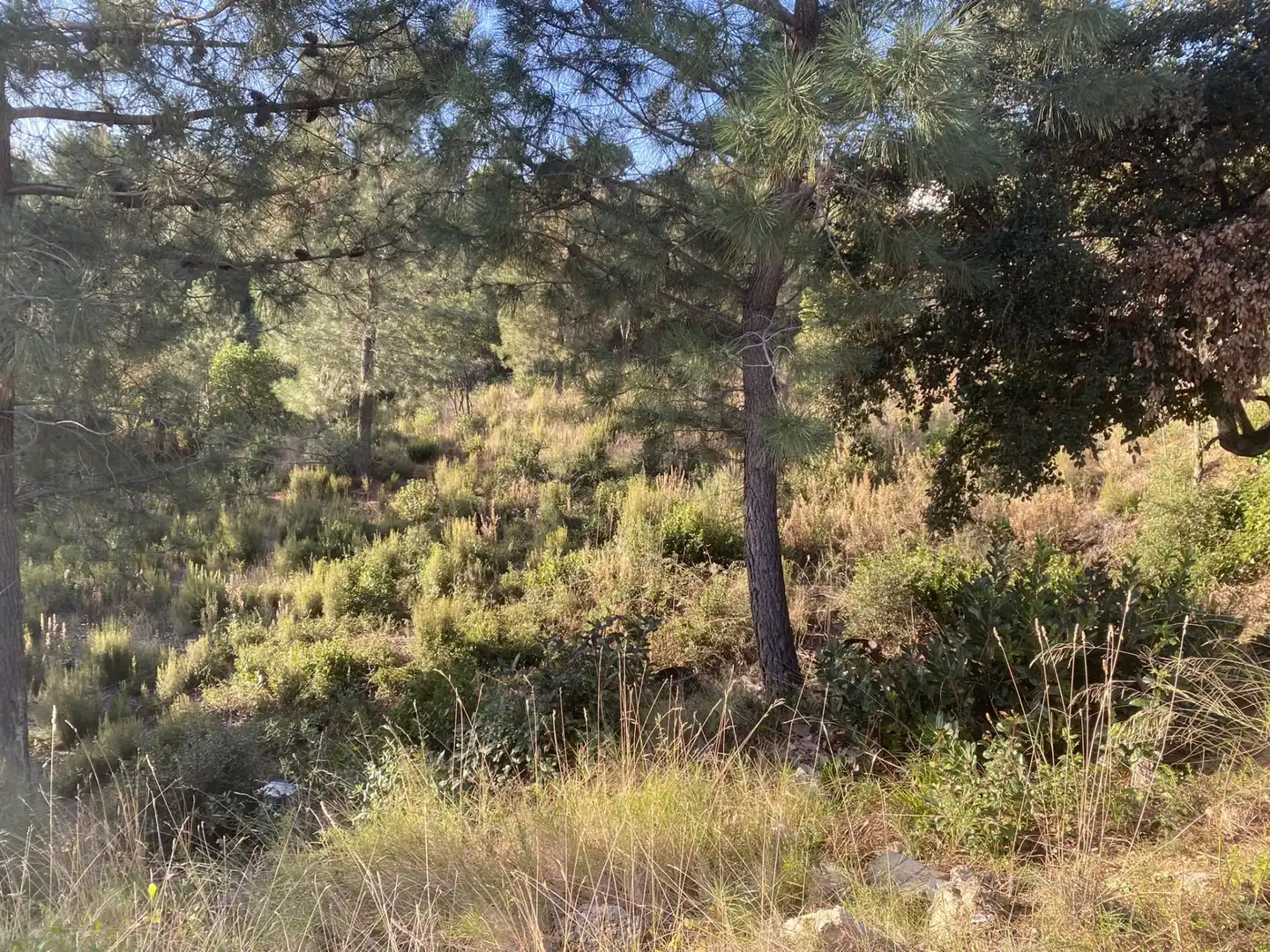 Terreno residencial en venta en Carrer Perdiu 38, imagen 8