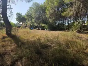 Rustikales Grundstück zum Verkauf in Partida Cumbres de Calicanto, imagen 3
