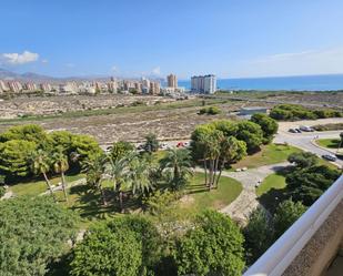 Vista exterior de Apartament de lloguer en El Campello amb Terrassa