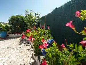 Casa o xalet en venda a Buenavista, 32, Portada Verde - Lomo Espino - Guanche