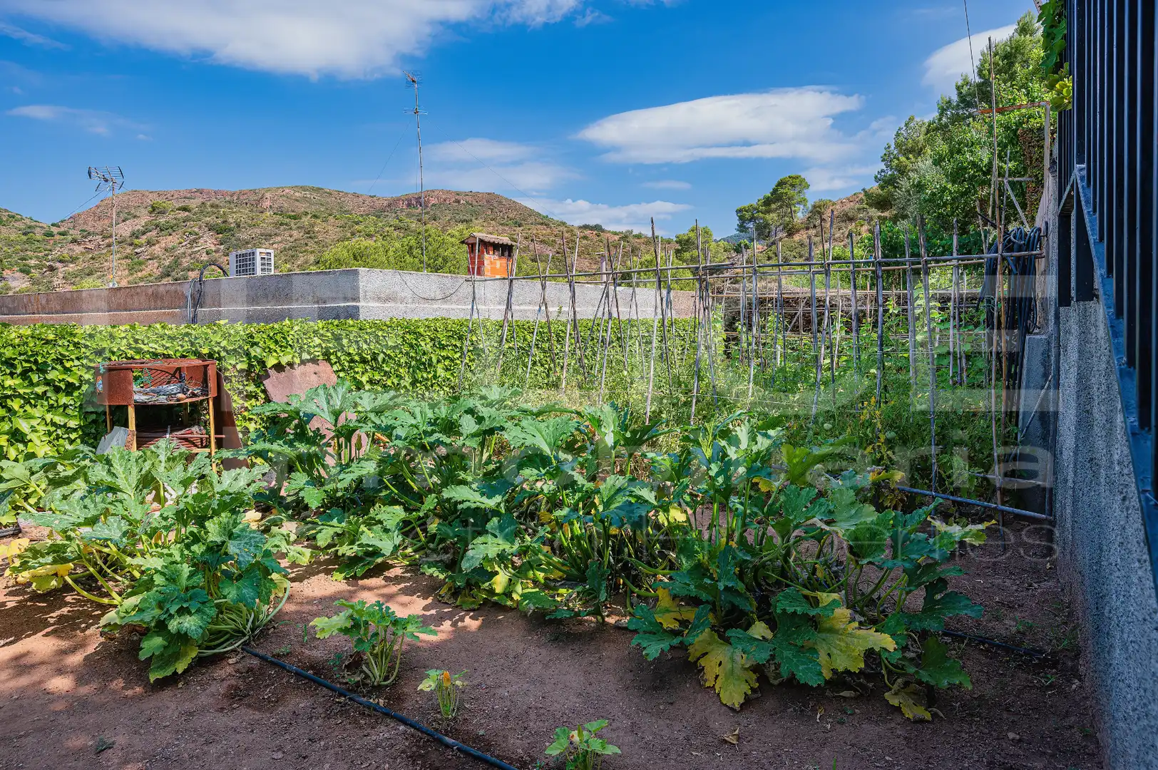 Detached homes for sale in Corral Nou - Montros - Estepar