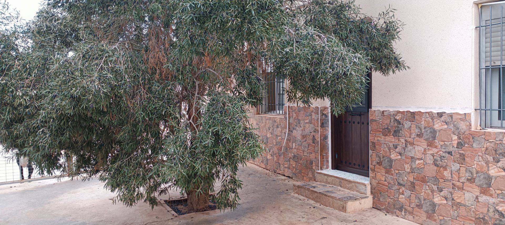 Vista exterior de Finca rústica en venda en Cartagena amb Aire condicionat, Calefacció i Jardí privat