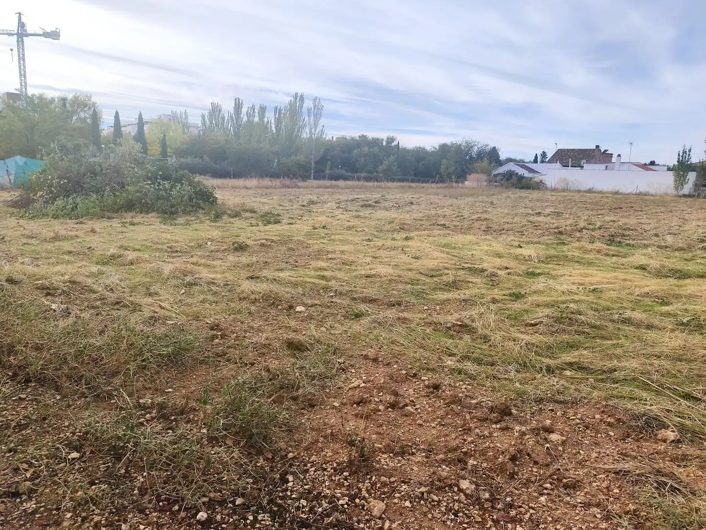 Terreny residencial en venda a Carretera Puertollano, imagen 3