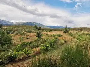 Terreni e lotti in vendita a Jarandilla de la Vera, imagen 6