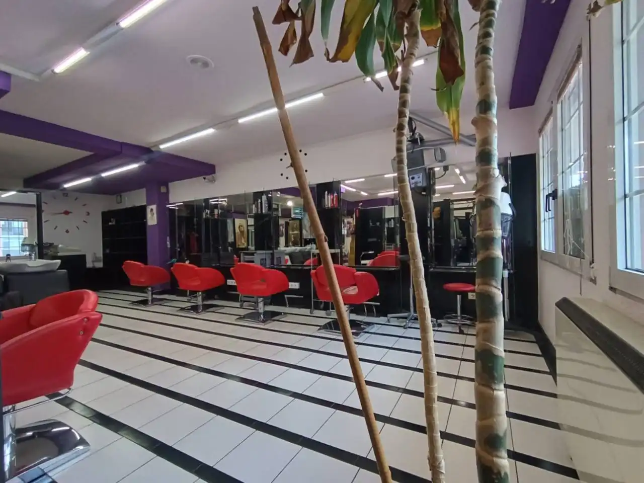 Local comercial en venta en Avenida Derechos Humanos, imagen 3