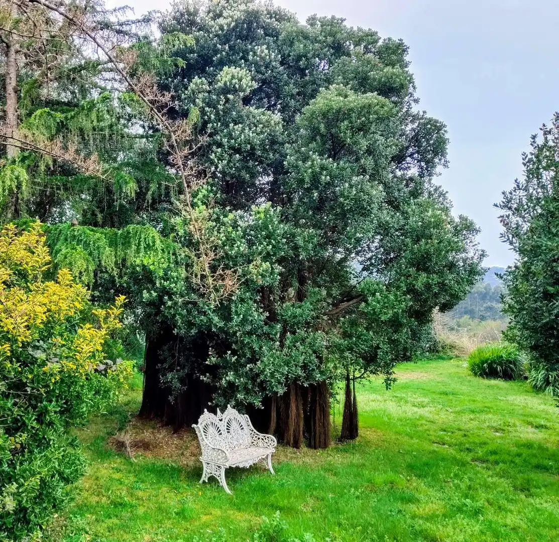 Xalet amb piscina en venda a MONTIÑO, imagen 7