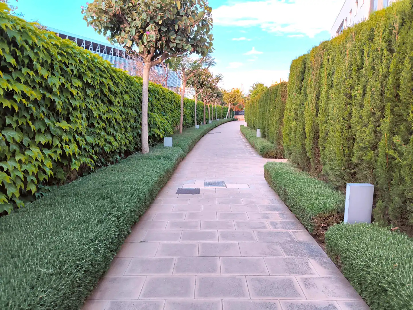 Vista exterior de Planta baja en venta en  Palma de Mallorca con Aire acondicionado, Calefacción y Jardín privado