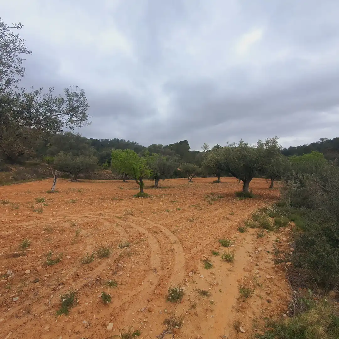 Rustikales Grundstück zum Verkauf in El Pinell de Brai, imagen 13