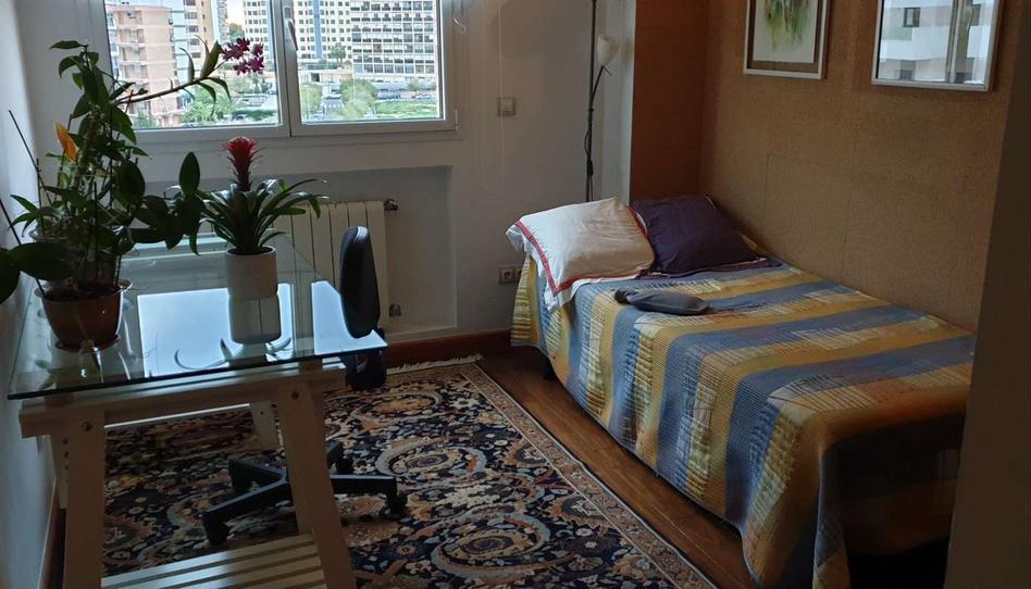 Photo 1 of Flat to share in Playa de San Juan, Alicante