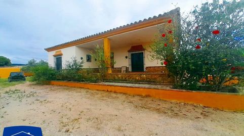 ARCOS DE LA FRONTERA, FINCA RÚSTICA DE 5.685M2, 2 CHALETS, BOXES Y ESTABLOS PARA CABALLOS, imagen 2