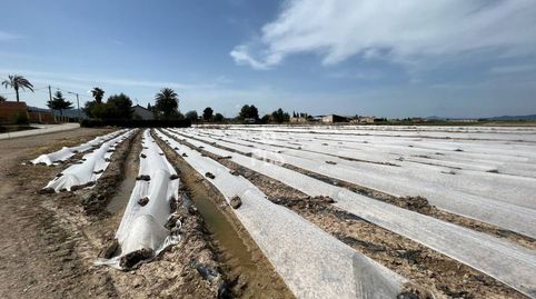 Photo 4 of Residential for sale in Calle Camino de Los Tollos, La Hoya, Lorca