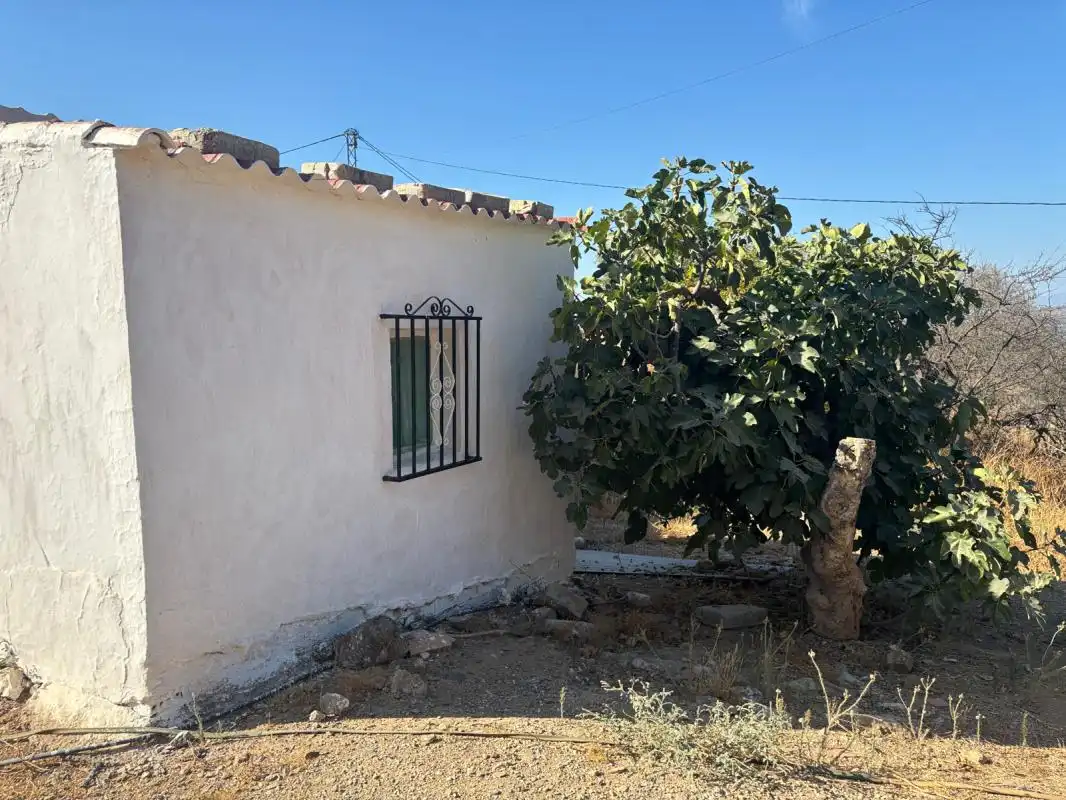 Finca rústica en venta en DS DISEMINADOS 447 EL TAJO EL MOCHUELO 29239 ALMOG, Almogía