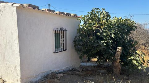 Foto 3 de Finca rústica en venta en Ds Diseminados 447 el Tajo el Mochuelo 29239 Almog, Almogía, Málaga
