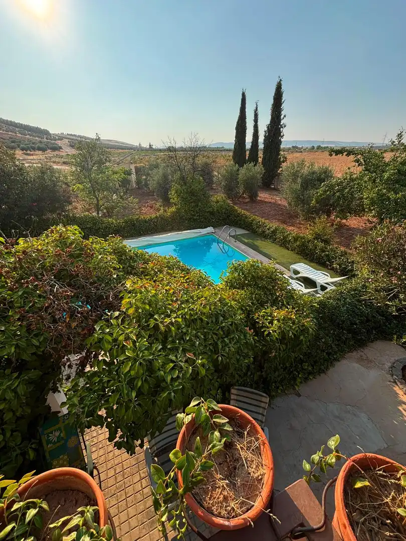 Piscina de Casa o xalet en venda en Valdepeñas