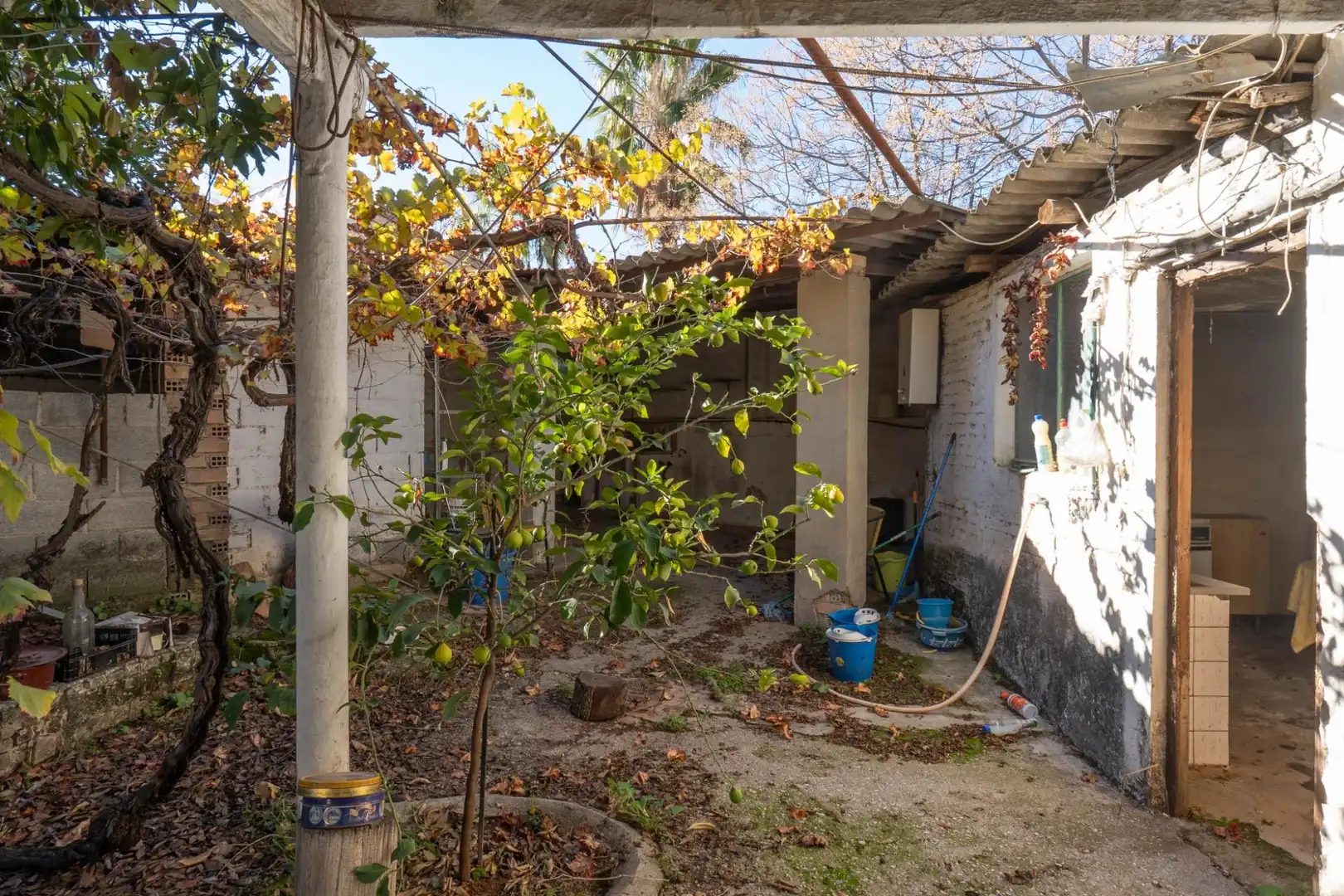 Jardín de Casa adosada en venta en Albolote