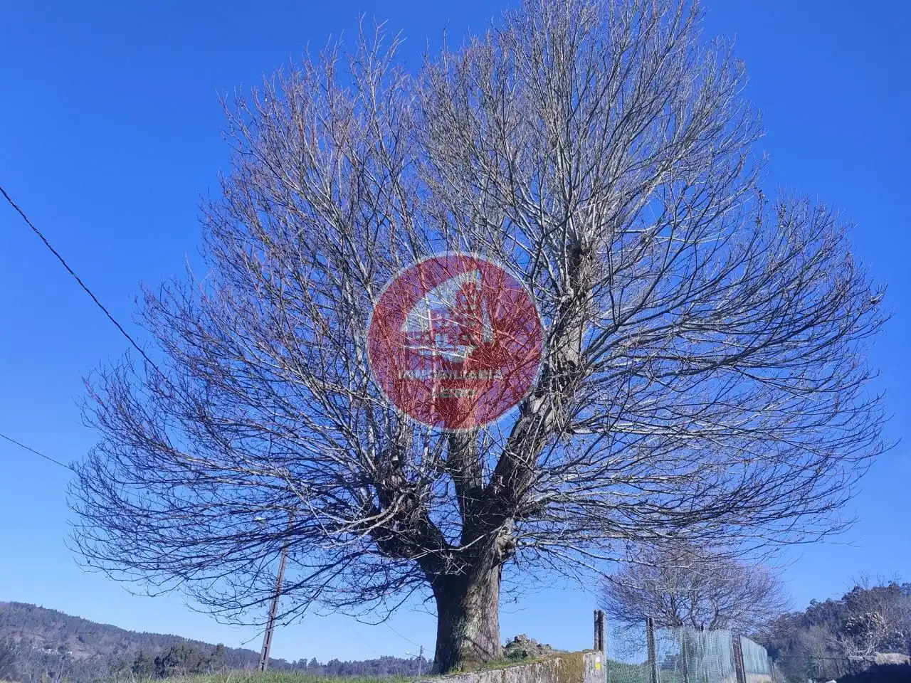 Finca rústica en venta en Cerdedo