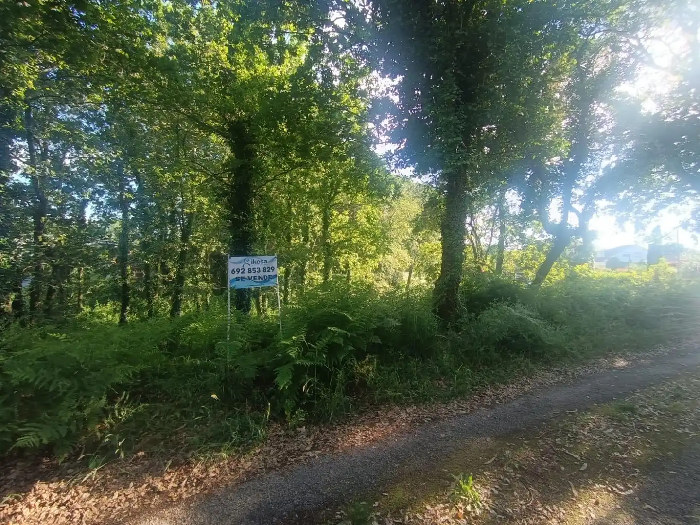 Terreno en venta en Tomiño