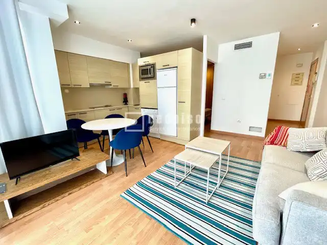 Living room of Flat for rent in Castellón de la Plana / Castelló de la Plana  with Air Conditioner and Furnished