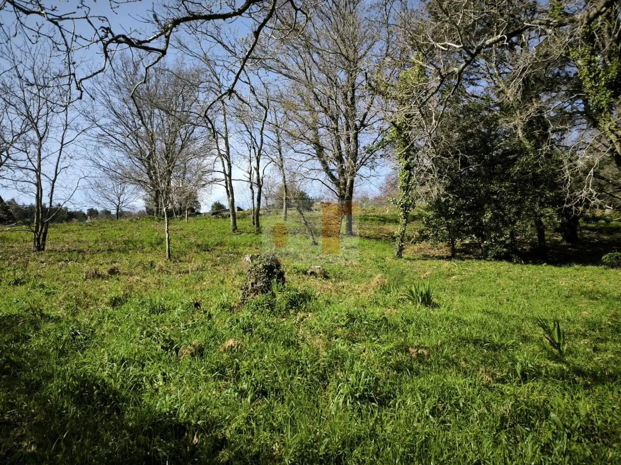 Grundstücke und Bauplätze zum Verkauf in Darbo, imagen 3