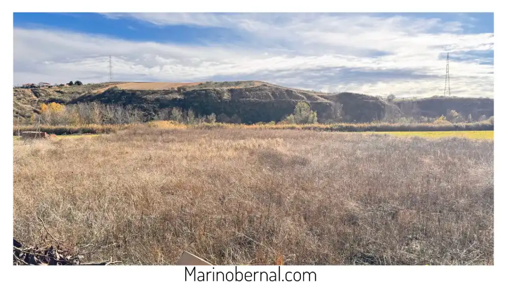 Rural land for sale in Calle la Zarza 21, imagen 3
