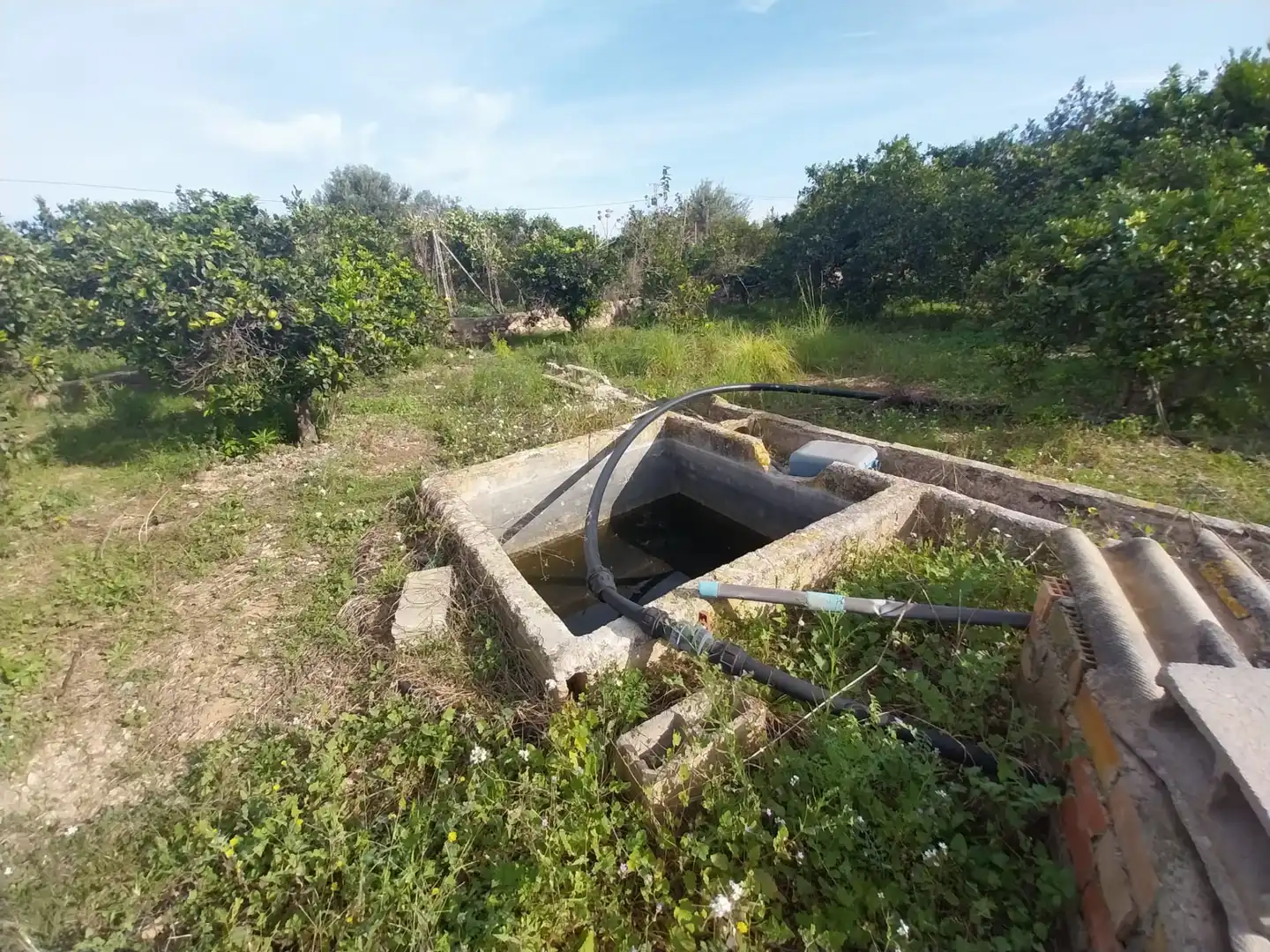 Terreny rústic en venda a Camí Pont de Montaner, imagen 4