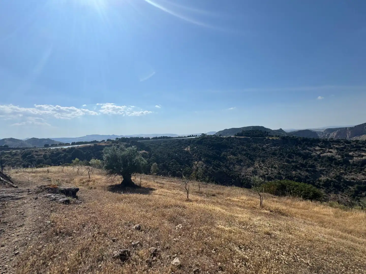 Finca rústica en venta en Ardales con Jardín privado y Terraza