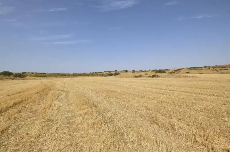 Terreni e lotti in vendita a Padul, imagen 25