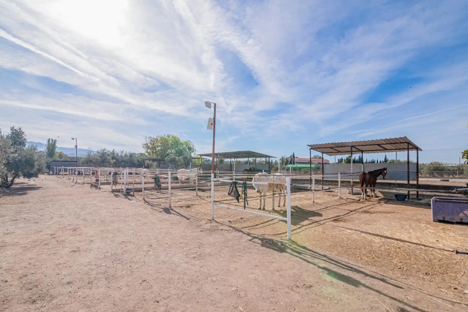 Vista exterior de Finca rústica en venta en La Zubia