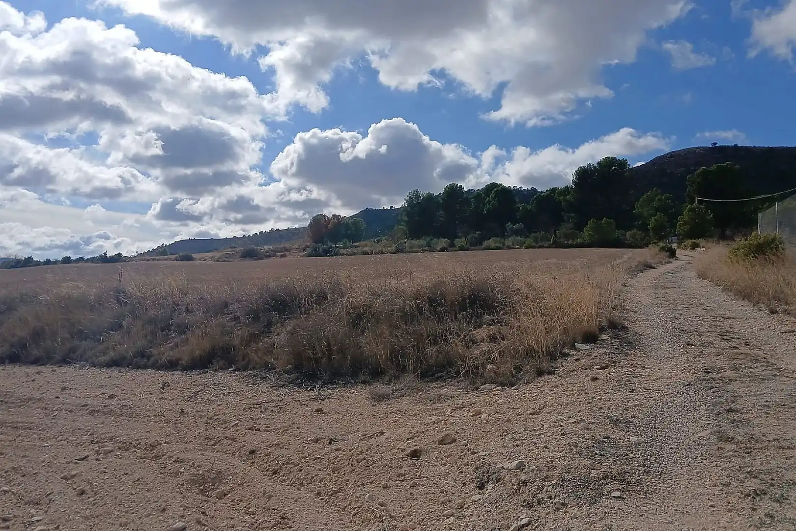 Residencial en venda en Yecla