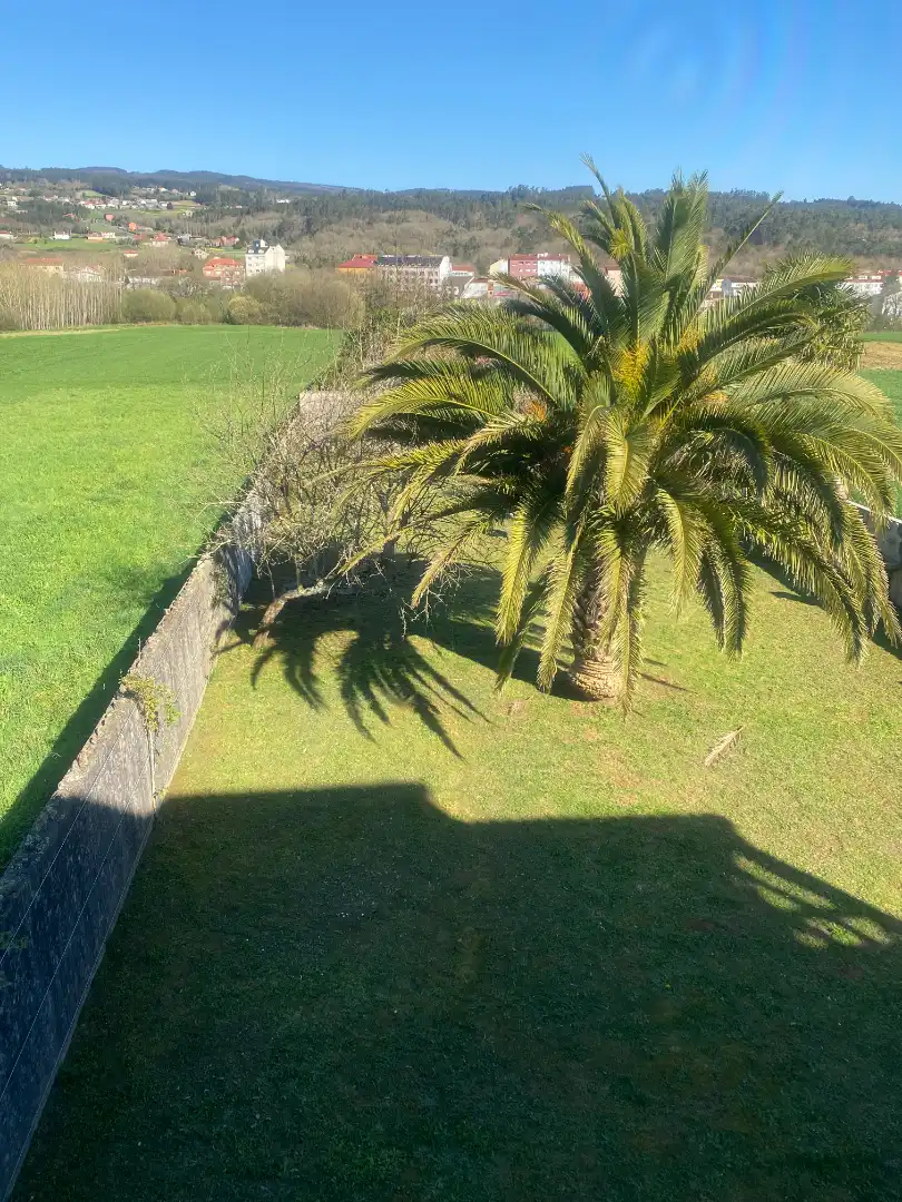 Jardí de Casa o xalet en venda en Val do Dubra amb Calefacció, Jardí privat i Parquet