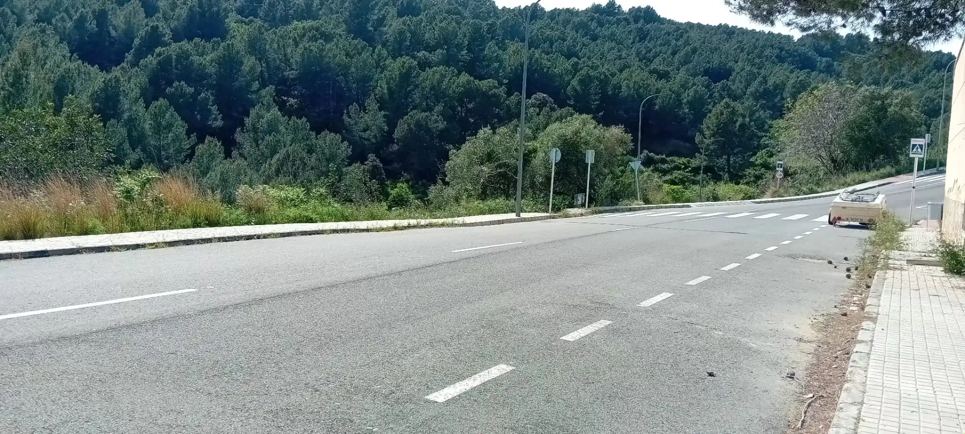 Residential land for sale in Almoster, imagen 11