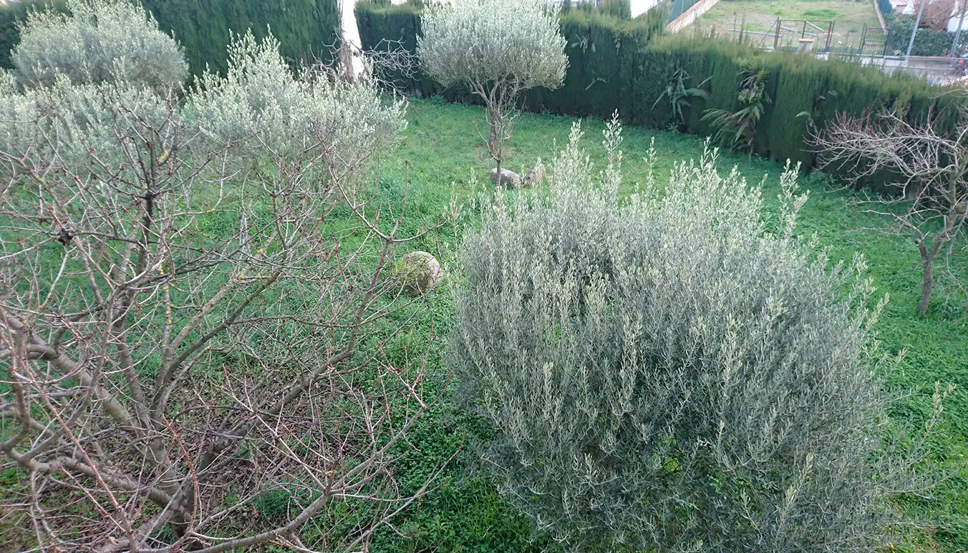 Jardí de Casa o xalet en venda en Hostalric amb Aire condicionat, Calefacció i Jardí privat
