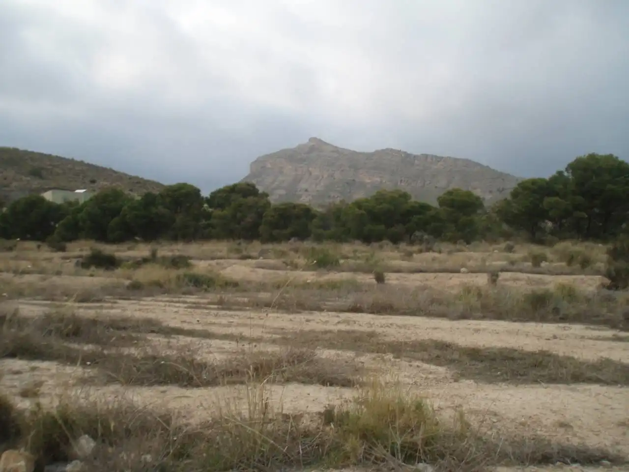 Terreny residencial en venda a Villamontes - Boqueres