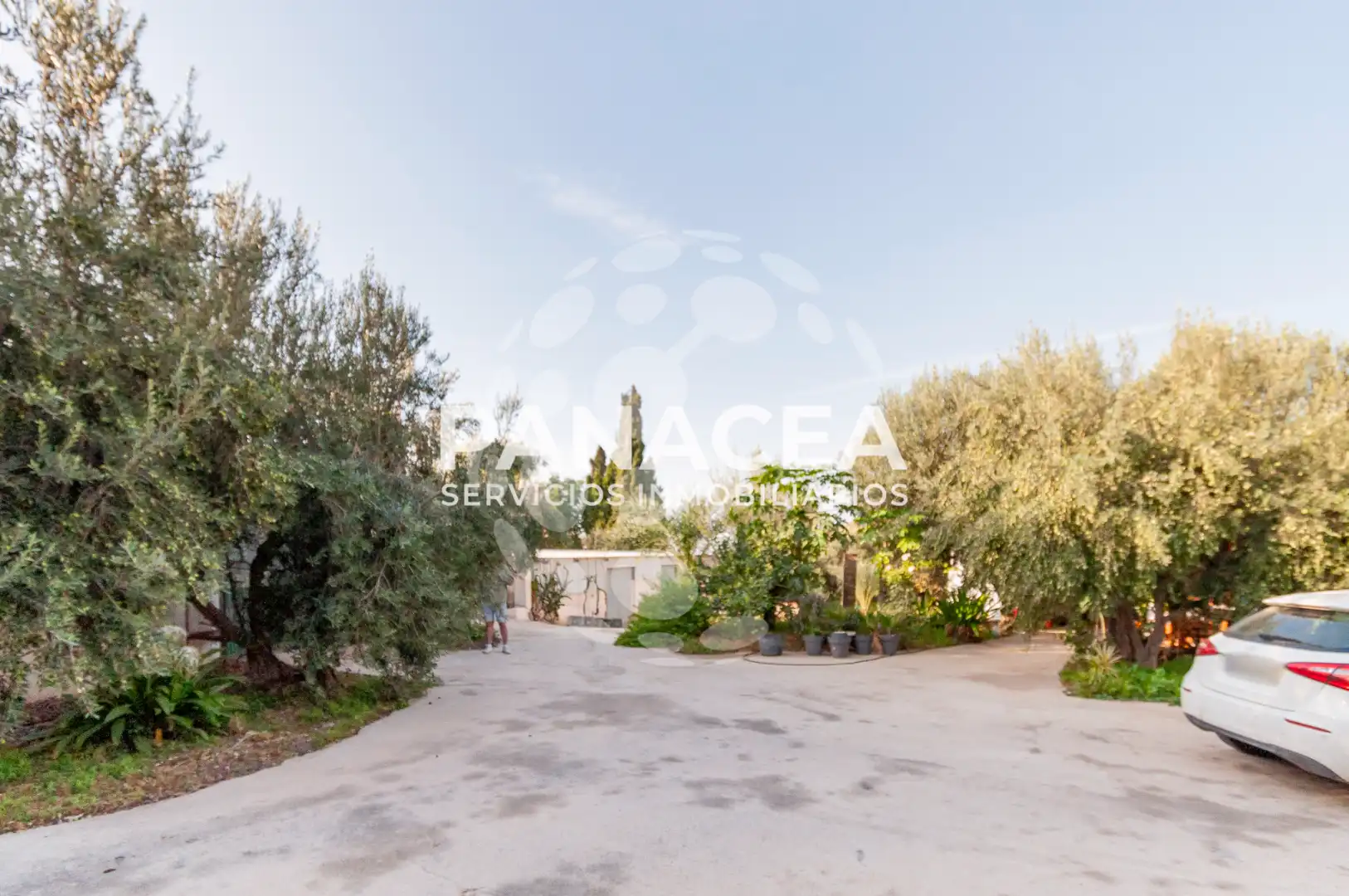 Finca rústica en venta en Vícar Pueblo