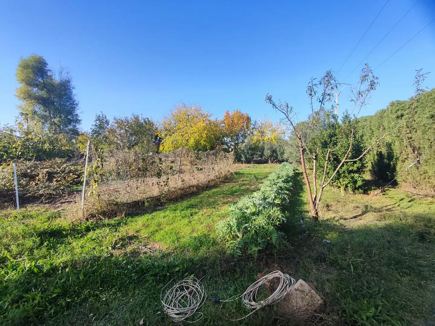 Casa con piscina en venta en Carretera la Solana-Tomelloso, imagen 17