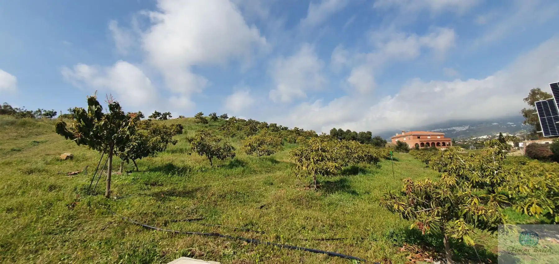 Casa rustica in vendita a Campo de Mijas, imagen 14